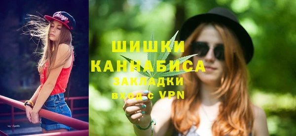 хмурый Бородино