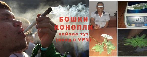 трава Волоколамск