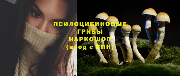 трава Волоколамск