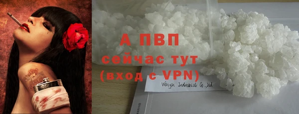 Альфа ПВП Протвино